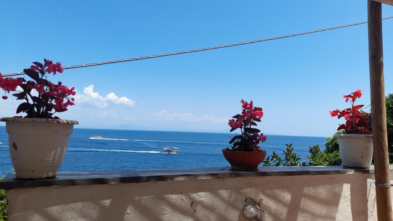 Villa Gianna Amalfi Coast Conca dei Marini Exterior foto
